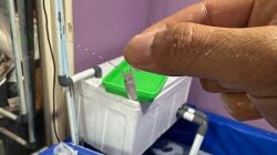 Unit Krimsus Polres Metro Tangerang Kota Bongkar Praktik Pengelolaan Benih Lobster Ilegal