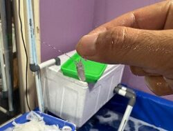 Unit Krimsus Polres Metro Tangerang Kota Bongkar Praktik Pengelolaan Benih Lobster Ilegal